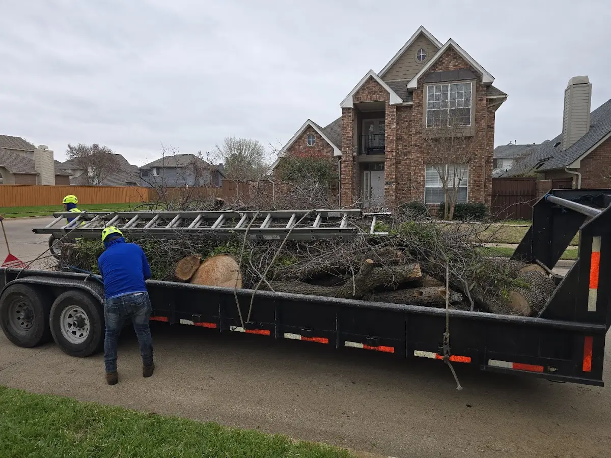 Expert Tree Fertilization with proper safety equipment in Murrayville